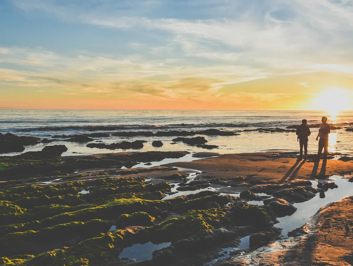 Two people walking along the shore at sunset